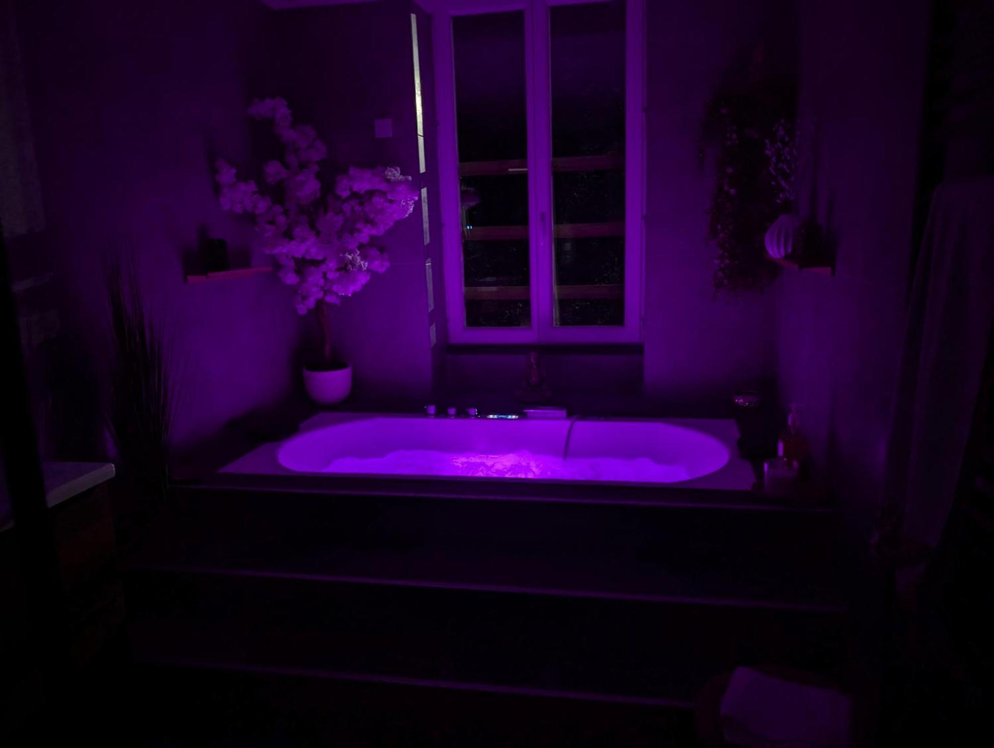 Le Spa - Villa Valmy - Hypercentre - Gare Sncf Montluçon Екстериор снимка